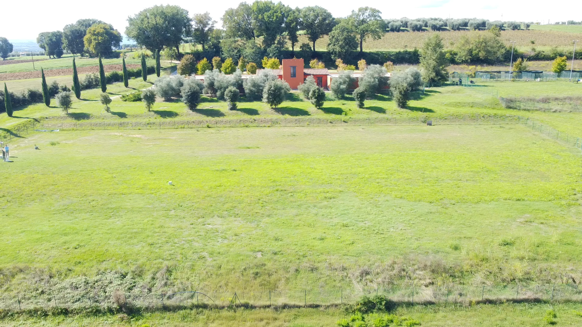 Pensione per cani Perugia con spazi sicuri e accoglienti - Parco Cinofilo Umbro
